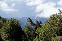 524_SS003091.jpg
