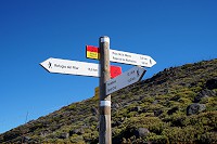 530_SS003100.jpg