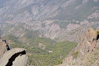 549_SS003127.jpg