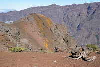 559_SS003141.jpg