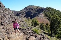 564_SS003148.jpg