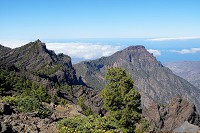 569_SS003157.jpg