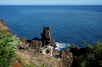 012_DSC01494.jpg