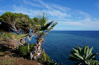 013_DSC01495.jpg