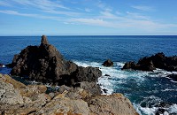 017_DSC01502.jpg