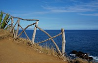 018_DSC01505.jpg