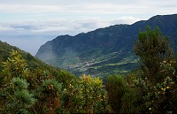 032_DSC01531.jpg