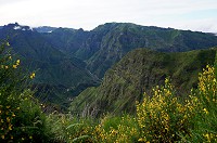 034_DSC01535.jpg