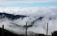 037_DSC01541.jpg