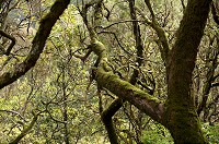 045_DSC01562.jpg