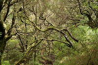 052_DSC01584.jpg