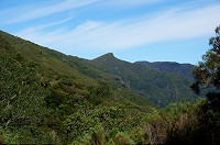 056_DSC01599.jpg