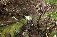 064_DSC01614.jpg