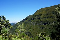 070_DSC01627.jpg