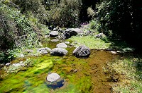 073_DSC01631.jpg