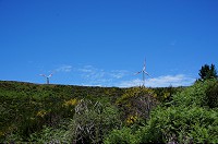 076_DSC01636.jpg