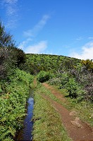 080_DSC01642.jpg