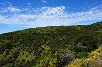 081_DSC01643.jpg
