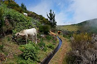 086_DSC01646.jpg