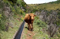 087_DSC01647.jpg