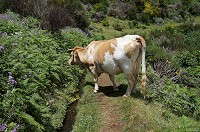 089_DSC01649.jpg