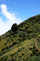 090_DSC01650.jpg