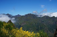 094_DSC01662.jpg