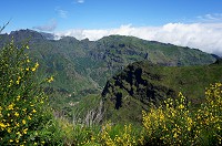 095_DSC01667.jpg