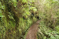 010_SS101847.jpg
