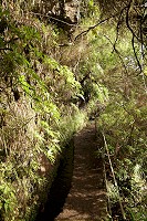 017_SS101865.jpg