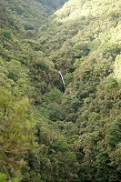 019_SS101868.jpg
