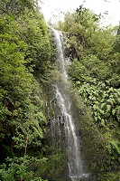 022_SS101872.jpg