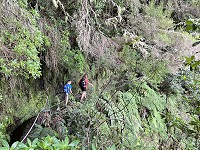 036_IMG_4429.jpg