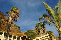 063_SS101934.jpg