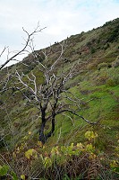 083_SS101958.jpg