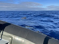 139_IMG_4598.jpg