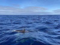 147_IMG_6722.jpg