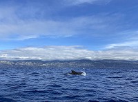174_IMG_6992.jpg