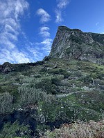 227_IMG_4711.jpg