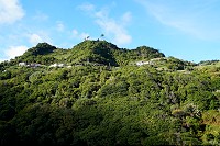 230_SS102099.jpg