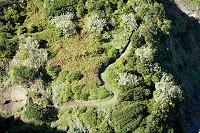233_SS102104.jpg