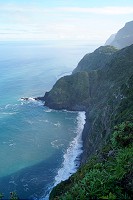 245_SS102119.jpg