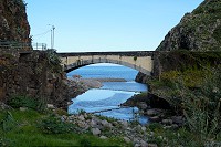 260_SS102157.jpg