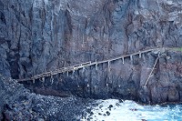 275_SS102173.jpg