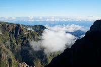 333_SS102281.jpg