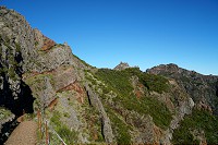 337_SS102288.jpg