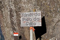 361_SS102335.jpg