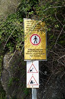 431_SS102469.jpg
