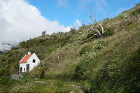 438_SS102483.jpg