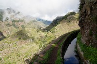 444_SS102495.jpg